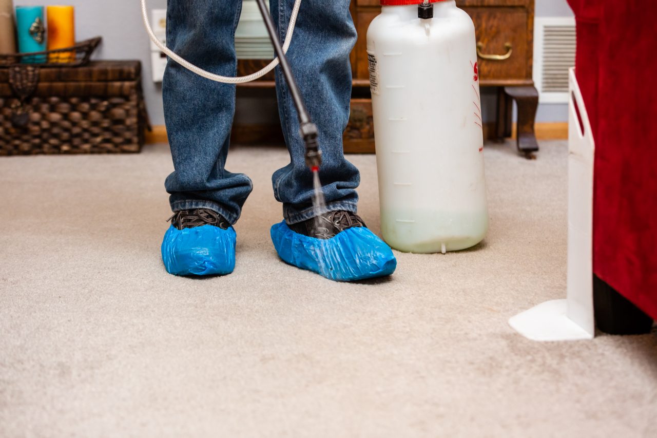 Janitorial Services Companies & Commercial Cleaning in Central Valley